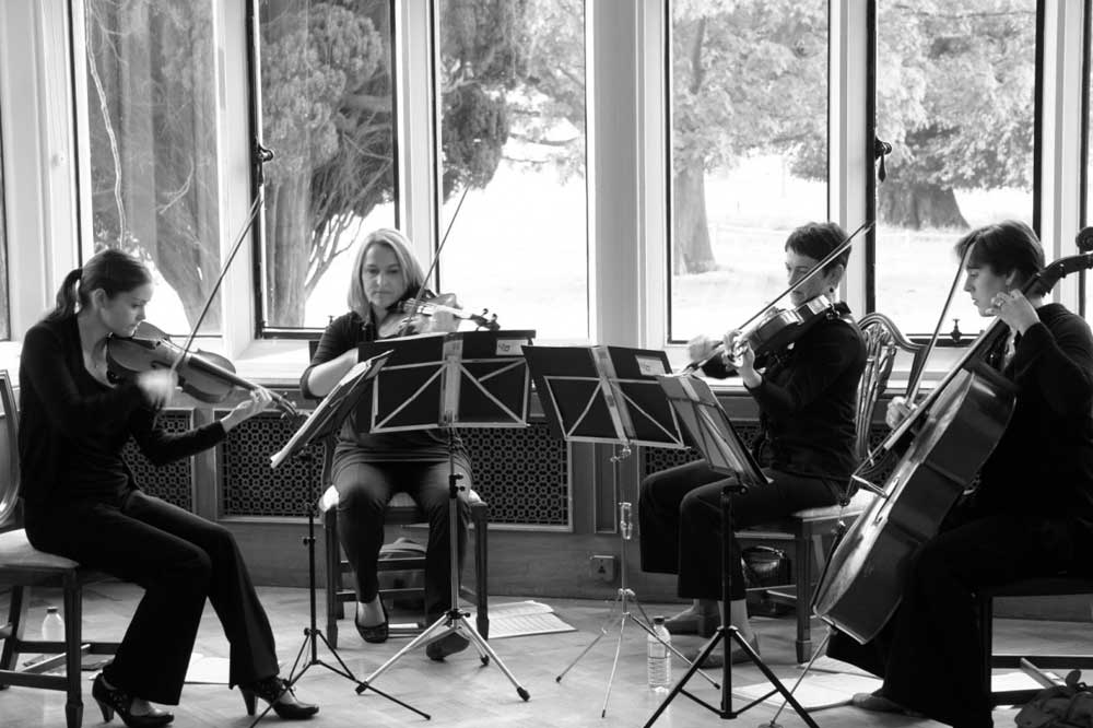 musicians in a string quartet