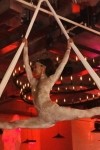 Malin Aerial Dance LLC (Malin Bergman)